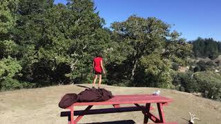 Famous Hutchison effect ok john hutchison walk in the forest Net Worth