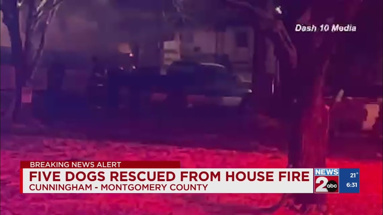 5 dogs rescued from house fire in Montgomery Co. - YouTube