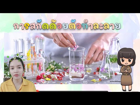 การสกัดด้วยตัวทำละลาย การแยกสารผสม