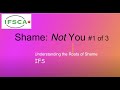 Shame: Understanding the Not You (IFS) #1 of 3
