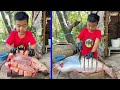 Delicious very big fish cooking with country style - Mom and son cooking/  Chef Seyhak