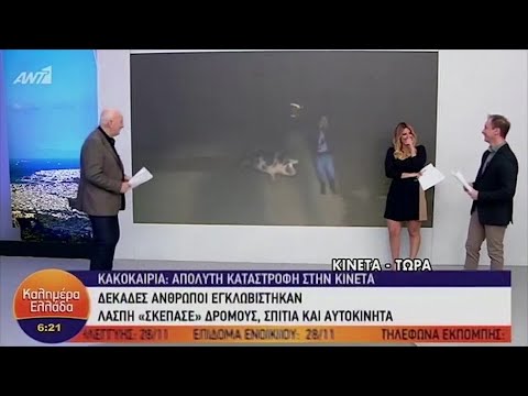 Going viral: Pig chases reporter during live report