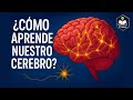 ¿Cómo aprende nuestro cerebro? #neuroeducación #neurodidáctica #minedu