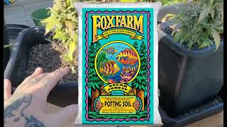 Croptober