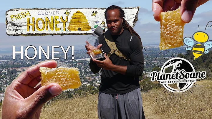 Honeycomb Benefits For Health & Wellness | (Part 2)