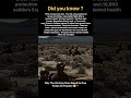 Did you know? #HistoryShorts #SciFiThoughts #WorldHistory #WarHistory #HumanNature #darkhistory