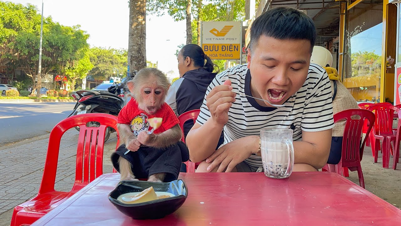 Cubis and Dad eat competition! Who eats faster?