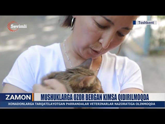 Kokraklar va oyoqlar orasidagi porno sik Ogiz boshligi bilan porno