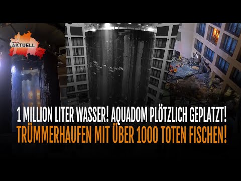 AquaDom geplatzt! | Trümmerhaufen mit über 1000 toten Fischen!