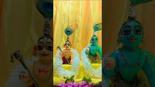 আজকের গোপাল সেবা । today gopal seba #shorts #gopal #seba