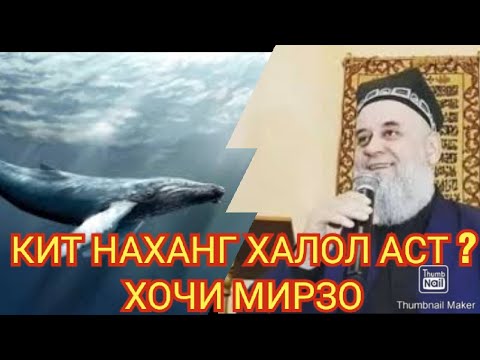 Наханг. Наханг фото. Расми наханг.