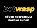 BetWasp: обзор программы для поиска букмекерских вилок