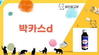 필수템 박카스D 3박스! 직장인 피로회복 꿀템 대량 언박싱!