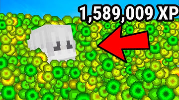 How To MAX Every Hive Game Mode