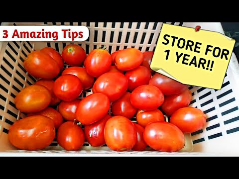 How To Store Tomato For Long Time | Store Tomatoes For Months | How to Store tomato in