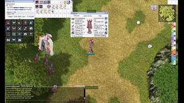 Meteor Assault Dual Wielding Demonstration Video