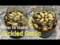 korean Garlic Pickles