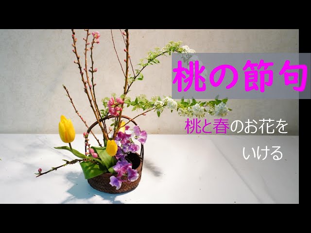 桃の節句 簡単生け花 香りのよいスィートピーを加えていける動画 Sogetsu Ikebana Youtube