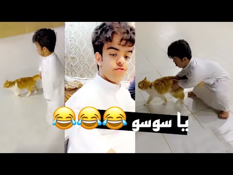 شوفوا قطوة ابو محاله سوسو لايفوتكم الضحك مع عماد وابومحاله