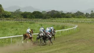 Course 3 PRIX DES DAUPHINS 05/05/24