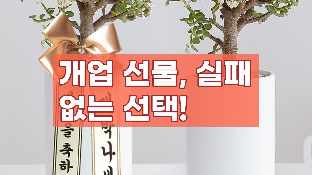 개업 선물로 딱! 행운과 인테리어를 한번에, 마음 담은 화분