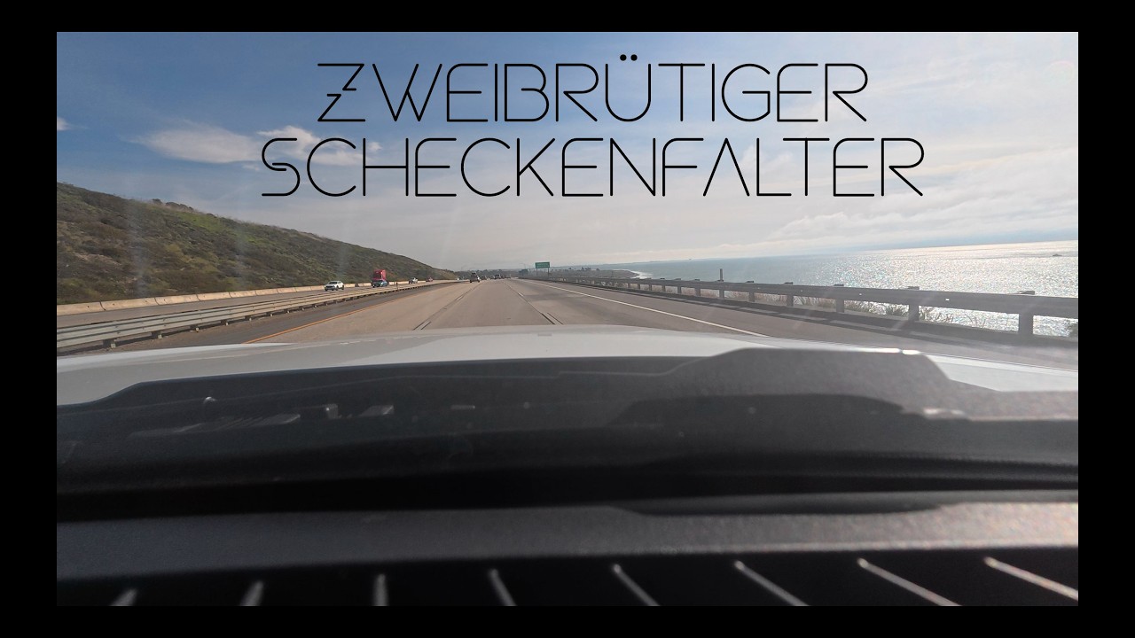 Dominik Eulberg - Zweibrütiger Scheckenfalter