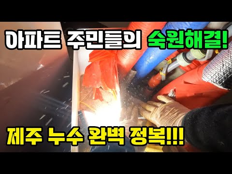 (제주 누수 설비) 대단지 아파트 주민들의 숙원해결~ 제주 누수 완벽 정복!