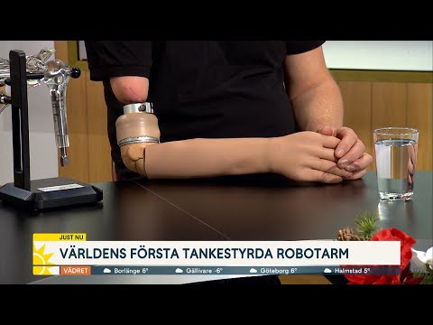 Video: Stamceller Och Makrofager I äggstockscancer Samverkar ömsesidigt Genom WNT-vägen För Att Främja Pro-tumör- Och Maligna Fenotyper I 3D-konstruerade Mikromiljöer