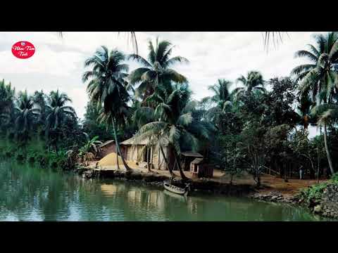 Video Nhạc Quê Hương Không Lời - Hòa Tấu Giai Điệu Quê Hương... - youtube