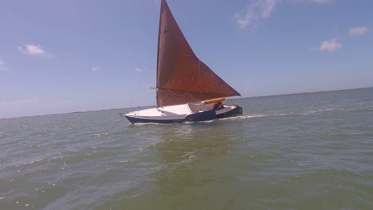 dovekie sailboat