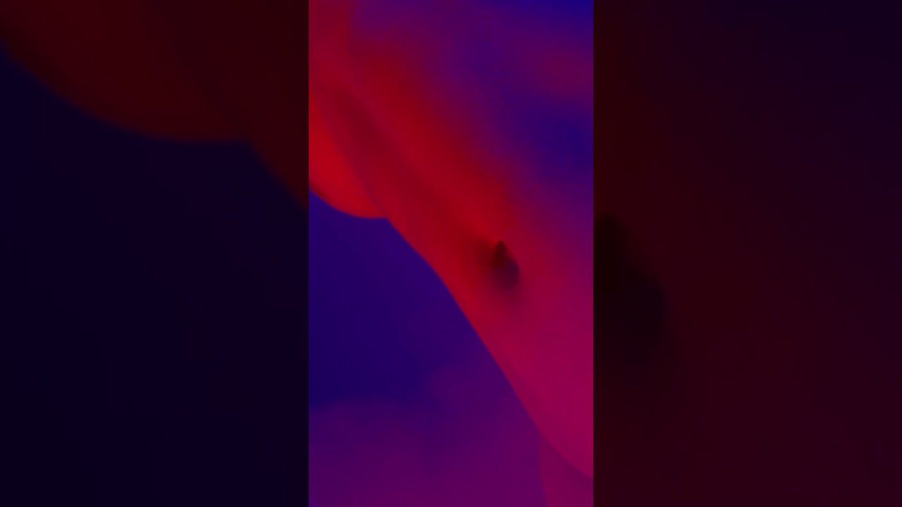 Florian x Th&eacute;o Martin #artvideo