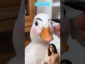 El Lado Más Tierno y Divertido de los Call Ducks 🥹🦆 #shorts