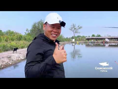 Cách câu cá mới | Chung Nguyễn Fishing