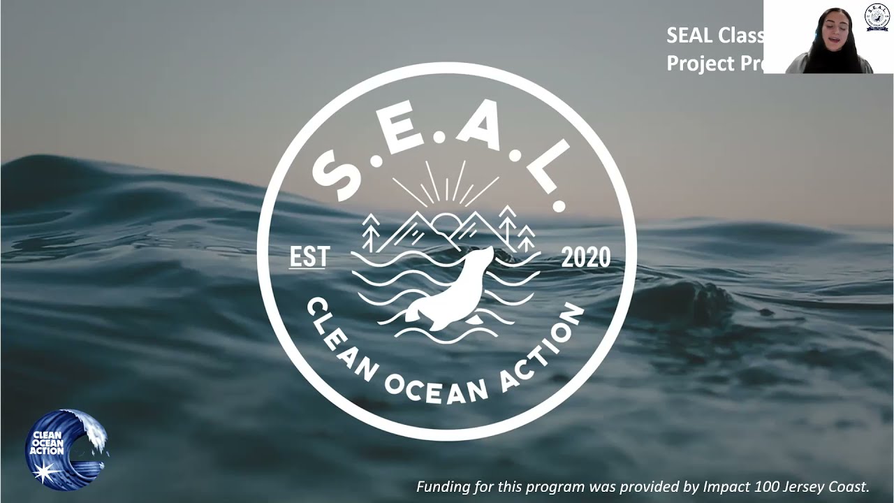 SEAL Project Presentations - YouTube