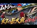 幻の巨大魚に挑戦🔥🎣ムトシ大冒険シリーズ⛺️⛰️🎣今回はムトシフィッシング🎣　#ムトシチャン #踊ってみた