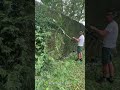 Sharp 🔪 #asmr #garden #shortvideo #beautifultools #shorts #stihl #satisfying #relaxing #landscape