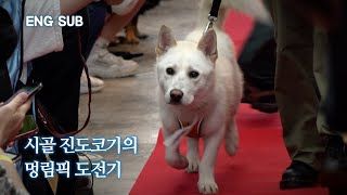 [ENG SUB] The dog that's rescued from the dog farm, what happened at the Dogs Olympic? | Maru EP.4