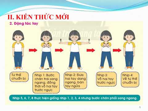 GDTC 1 - Tuần 2: Bài : Động tác tay