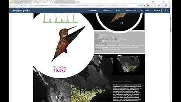 Data Visualization 101: Layout and Putting it all together - Tableau / DataSelf
