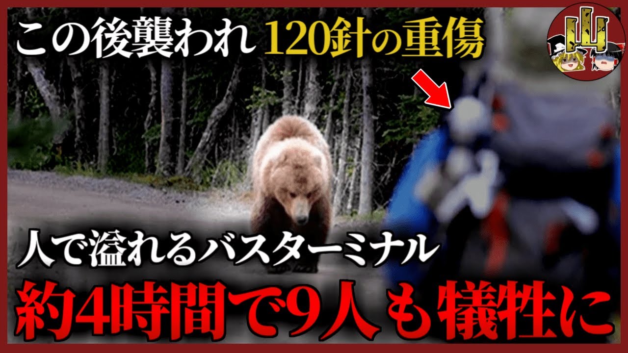 突然、興奮状態のクマが登山者に次々襲い掛かかり9人重軽傷…日本一高い場所にある乗鞍岳バスターミナルで起きた震撼の事故【ゆっくり解説】