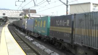 ゼロロク EF66 30号機 1055レ 貨物列車 平成25年11月16日撮影