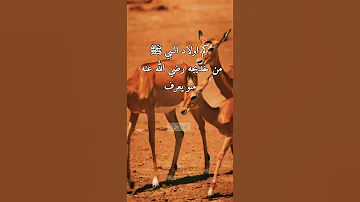 كم عدد اولاد النبي ﷺ من خديجه رضي الله عنه 