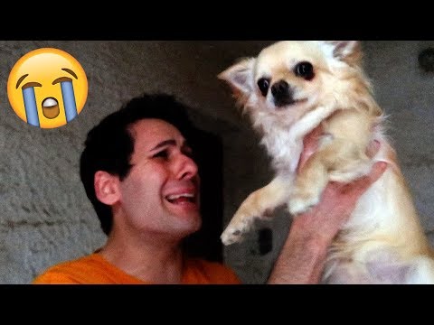 ABBIAMO RITROVATO RAY!