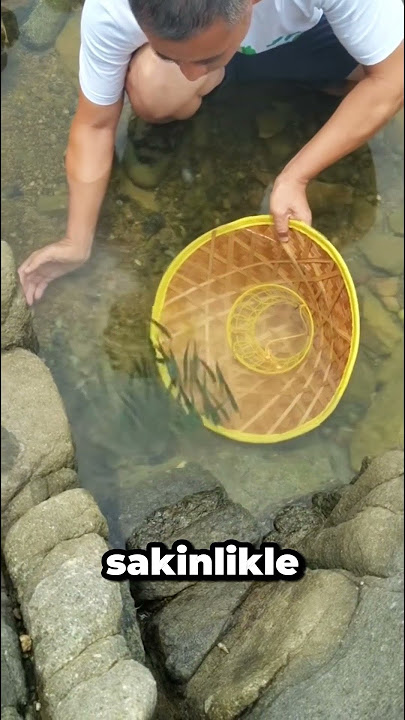 He Caught a School of Fish with a Hat! 😮