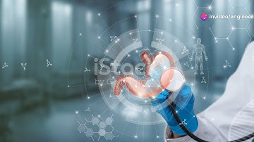 Exploring the World of Biomedical Engineering: Careers, Research, and Applications