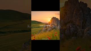 O Sahib - Zain Zohaib | Aesthetic LyricsVideo#AestheticShorts#LyricsShorts#HindiSongs #shorts