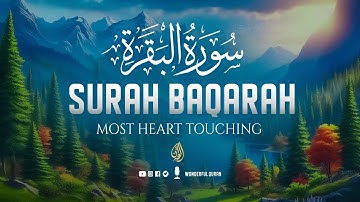 Surah Al-Baqarah Full (سورة البقرة) | Ultimate Peaceful Heart Touching Quranic Voice #baqarah