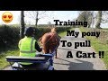 Training My Horse To Pull A Cart!!