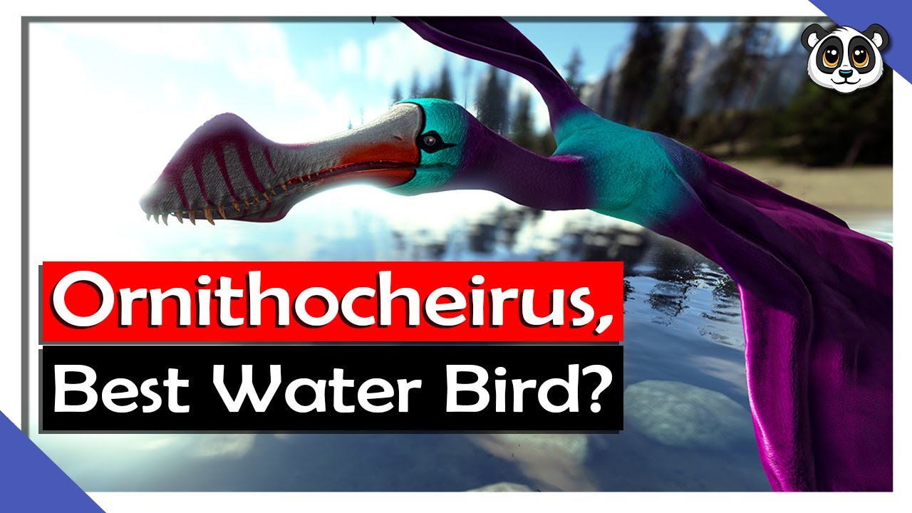 Ornithocheirus, Best Water Bird? | S14 Ep 13 | ARK: Fjordur - Go IT