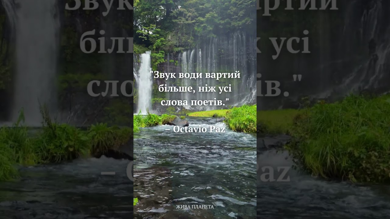 #ЦитатиПроВоду